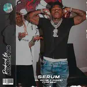 Picture for song 'Serum (DaBaby Type Beat)' by artist 'Dimsho Beats'