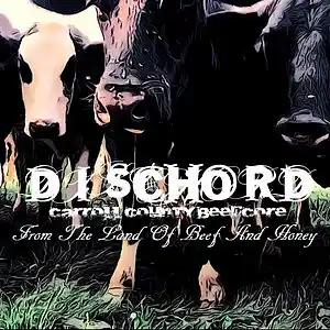 Picture for song 'Realize/Recognize' by artist 'Dischord'