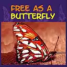 Picture for song 'Wings That Sing' by artist 'Ellis Hadlock'