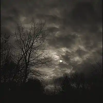 Picture for song '4:01 A.M.' by artist 'Get The Bag Productions'