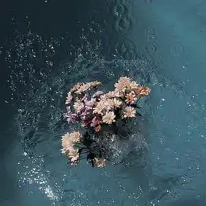 Picture for song 'Old sadness' by artist 'Magenta Sunset'