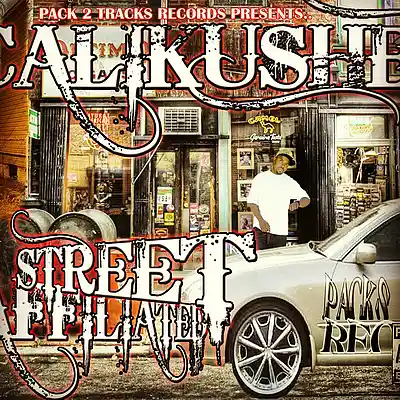 Picture for song '12 Got the nrerve.mp3' by artist 'M-Town Hustlas'