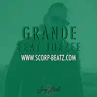 Picture for song 'SCORP BEATZ & JOEZEE - GRANDE' by artist 'Scorp Beatz'