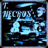 Picture for song 'BackDoorBlues' by artist 'Turtle Necromancer'