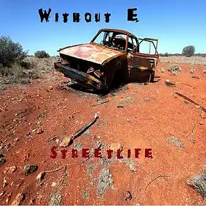 Picture for song 'Streetlife 12' by artist 'WITHOUT E'