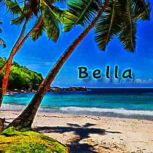 Picture for song 'Bella' by artist 'Yourney'