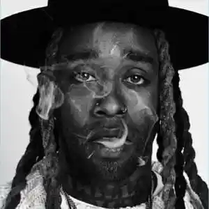Picture for song 'STUPID (TY DOLLA SIGN X CHRIS BROWN X DJ MUSTARD)' by artist '7ven'