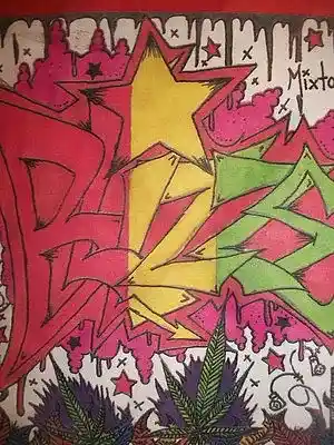 cover pic