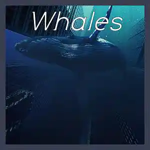 Picture for song '[FREE] Ambient Trap Type Beat - Whales' by artist 'DFS music'