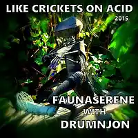 Picture for song 'LIKE CRICKETS ON ACID - FAUNASERENE with DRUMNJON' by artist 'Drumnjon'