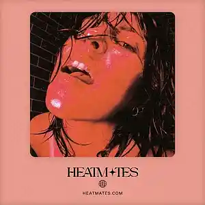 Picture for song 'Famous (Miley Cyrus x Dua Lipa)' by artist 'HEATMATES'