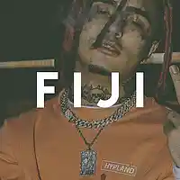 Picture for song 'Fiji ..::HARD::..' by artist 'HEATONDABEAT'