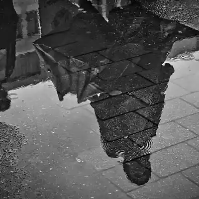 Picture for song 'ES IST ZUVIEL' by artist 'HOWZAT'