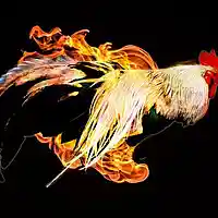 Picture for song 'TAK 6-Roosters! ' by artist 'Jammer59'
