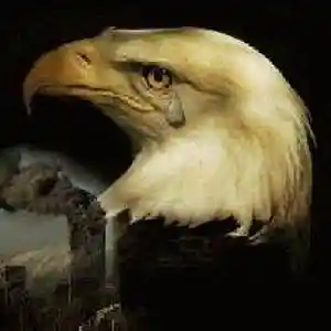 Picture for song 'The Eagles Eyes 911' by artist 'JesseHaney'