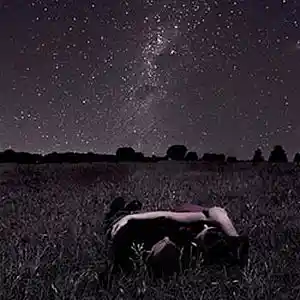 Picture for song 'Tall Grass Under the Stars' by artist 'Lee Shapiro'