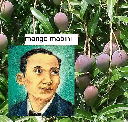 Picture for song 'Bu-Hiet Cover - Dolphy Banayad Whiskey.mp3' by artist 'Mango Mabini'