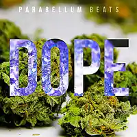 Picture for song 'Dope' by artist 'Parabellum Beats'