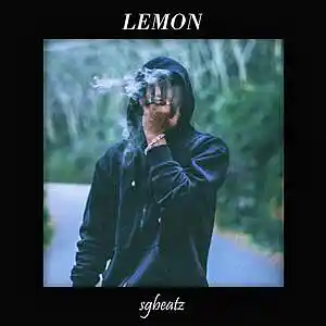 Picture for song 'Lemon - Central Cee x Private Zero Type Beat' by artist 'SG Beatz'