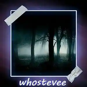 Picture for song 'Last' by artist 'whostevee'