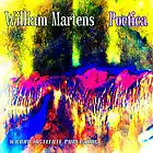 Picture for song 'Album Poetica - Part 3' by artist 'William Martens'