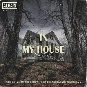 Picture for song 'In my house' by artist 'Algain-Music'