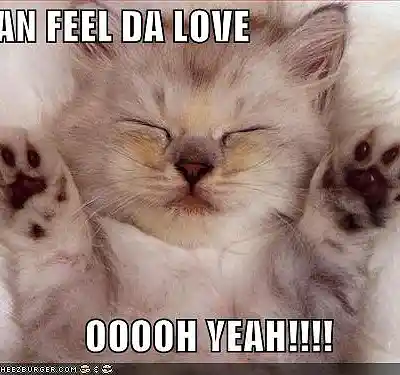 Picture for song 'OOOH YEEEAAAH' by artist 'Bam Bam Beatz'