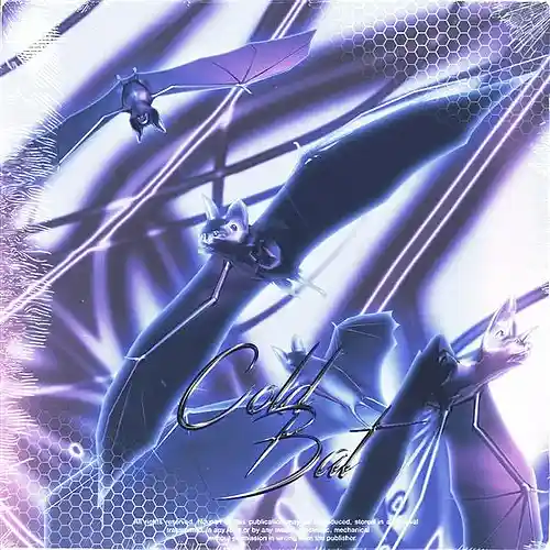 Picture for song 'PESNYA BEAT' by artist 'COLD BAT'