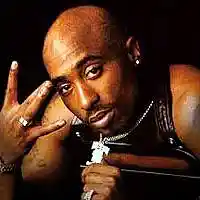 Picture for song 'ROLL WITH A THUGG' by artist 'EEZMAHH BEATZ'