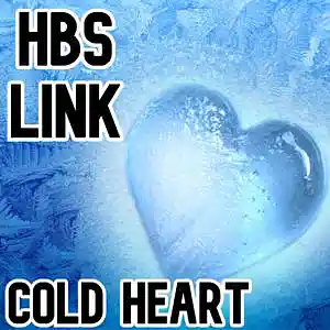 Picture for song 'Cold Heart' by artist 'HBS Link'