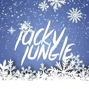 Picture for song 'Christmass 2018 - It's Over (Jacky Jungle)' by artist 'Jacky Jungle'