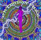 Picture for song 'Villagers with Torches' by artist 'Orthodox Fuzz'