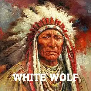 Picture for song 'White Wolf' by artist 'PRF Soundscapes'