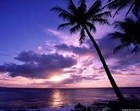 Picture for song 'PARADISE' by artist '1 Letter Plus'