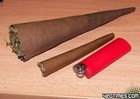 Picture for song 'No Blunts Just Slogies - 5ucka Free' by artist '5ick Face Ent'