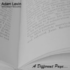 Picture for song 'A Place In My Heart' by artist 'Adam Levin'