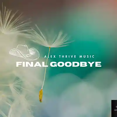 Picture for song 'Acoustic Guitar Ballad-Final Goodbye' by artist 'Alex Thrive Music'
