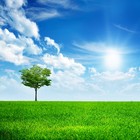 Picture for song 'Soon to Be' by artist 'All Jams'