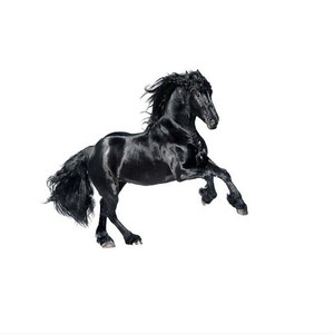 Picture for song 'Lil Nas X Type Beat - "HORSES"' by artist 'Jayzen'