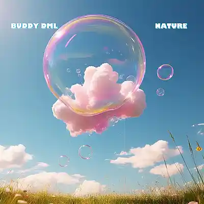 Picture for song 'Buddy DML - Soul Mate' by artist 'Buddy DML'