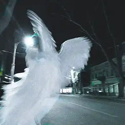 Picture for song 'Heaven' by artist 'ca4simiro'