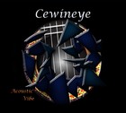 Picture for song 'Acoustic Vibe' by artist 'CewinEye'