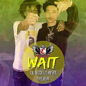 Picture for song 'WAIT (Lil Mosey Lil Tecca type beat)' by artist 'Chorderline'