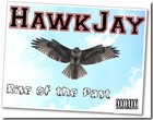 Picture for song 'HawkJay-Intro' by artist 'nonamemskmks'