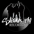 Picture for song 'Slicka Fly' by artist 'DaMixTapeBandit'