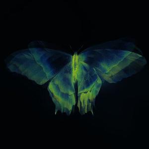 Picture for song 'Kodro 160 BPM' by artist 'deadsnippet'