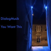 Picture for song 'You Want This' by artist 'DialogMusik'