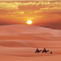 Picture for song 'CARAVAN' by artist 'Ellumbra'