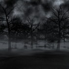 Picture for song 'Darkness (Buy 1 get 4 FREE)' by artist 'Errol Beats'