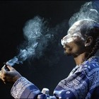 Picture for song 'West Up' by artist 'iBlais'